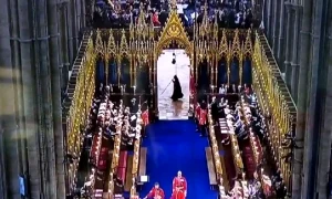 captura moartea cu coasa webp