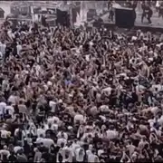 maxsb gif gif