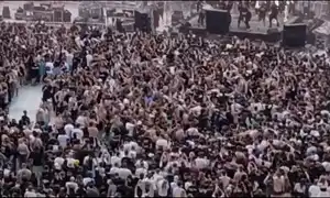 maxsb gif gif