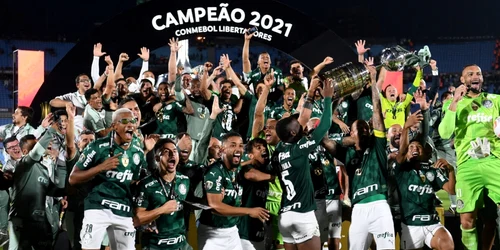 palmeiras