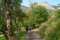 Via Transilvanica, foto Shutterstock jpg