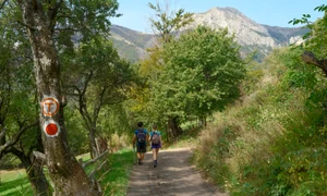 Via Transilvanica, foto Shutterstock jpg