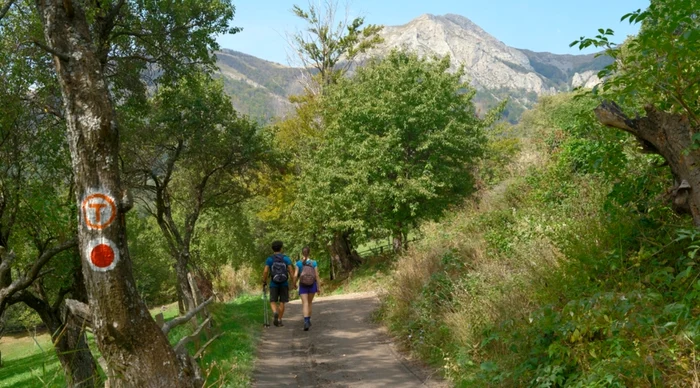 Via Transilvanica / Foto: Shutterstock