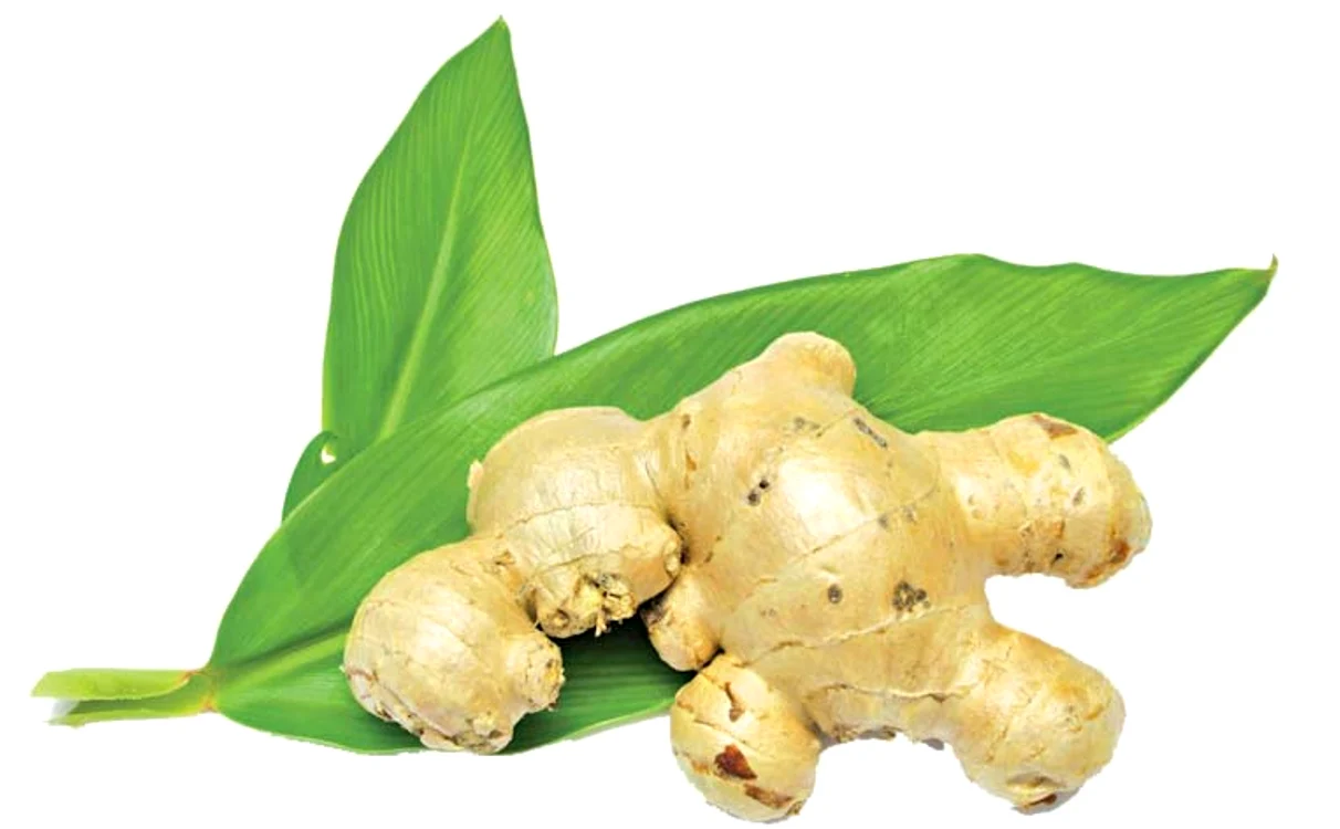 
    Foto: Shutterstock  