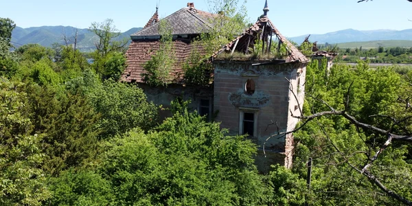 Castelul Nalați  Foto Daniel Guță (1) JPG