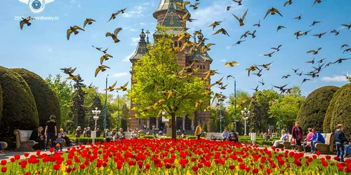 Piaţa Operei din Timişoara FOTO eyeinthesky.ro