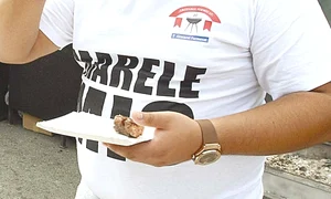 4 foto 5 1coloana detaliu manaca jpeg