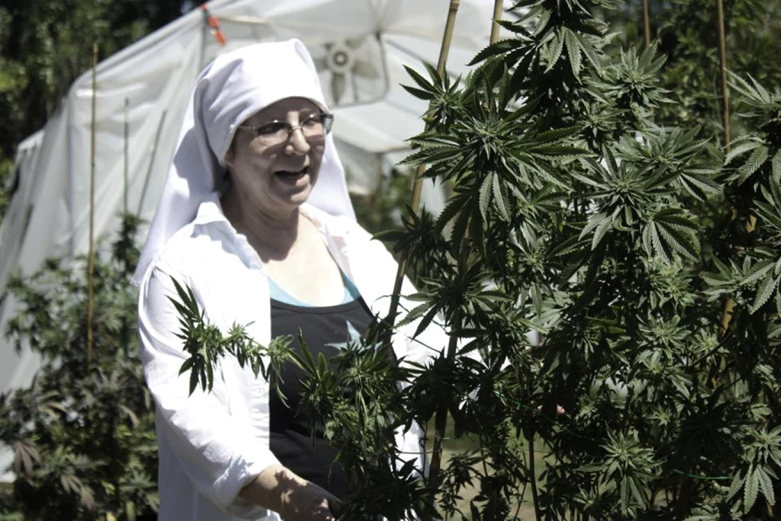 Sora Kate cultivă canabis medicinal din 2014 FOTO Jamie Riley