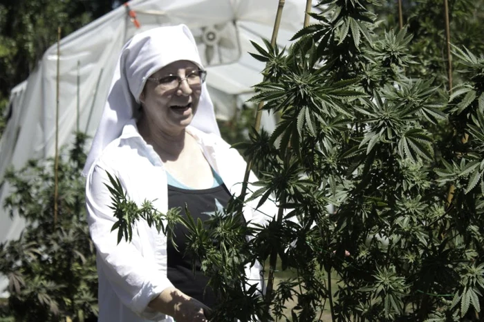 Sora Kate cultivă canabis medicinal din 2014 FOTO Jamie Riley