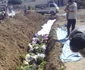 Conflictul din Siria