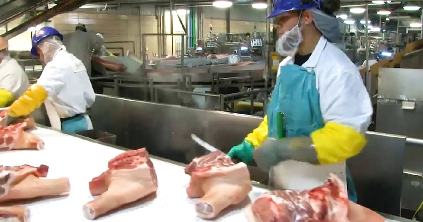 Abator al companiei Tyson Foods