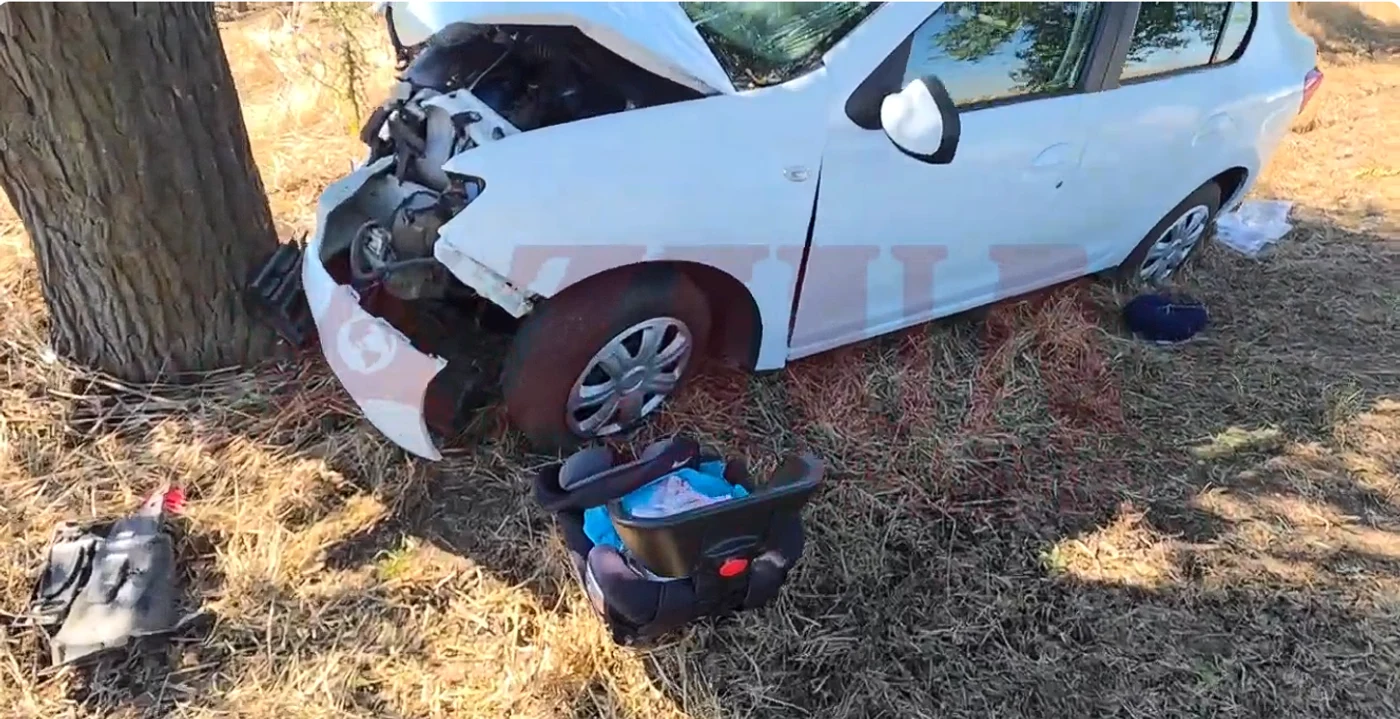 Una dintre mașini a izbit un copac. FOTO captură YouTube Ziua de Constanța