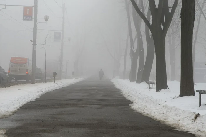 Copoul învăluit în ceaţă