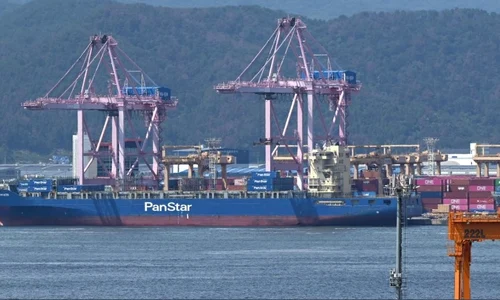nava PansStar Acro jpg