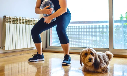 shutterstock 1712360785 jpg