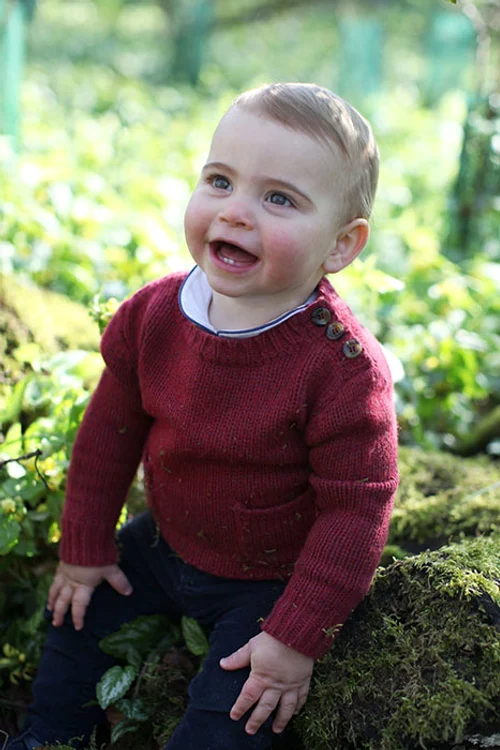 prince louis first birthday picture z jpg jpeg