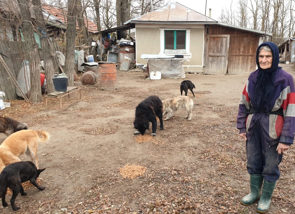 Tanti Ioana, înconjurată de câinii pe care îi îngrijește FOTO: Ajutați-l pe Lăbuș