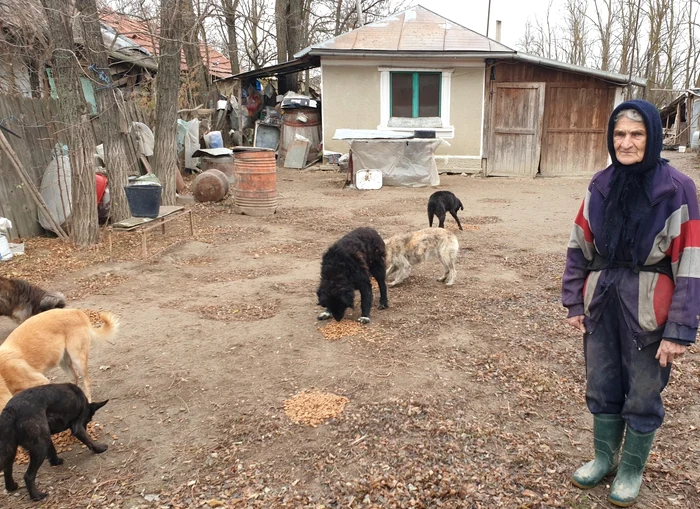 Tanti Ioana, înconjurată de câinii pe care îi îngrijește FOTO: Ajutați-l pe Lăbuș