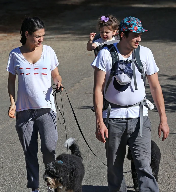 Exclusive Pregnant Mila Kunis, Ashton Kutcher, & Daughter Wyatt Out Walking Their Dogs jpeg