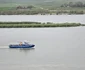 A înverzit insula din mijlocul Dunării