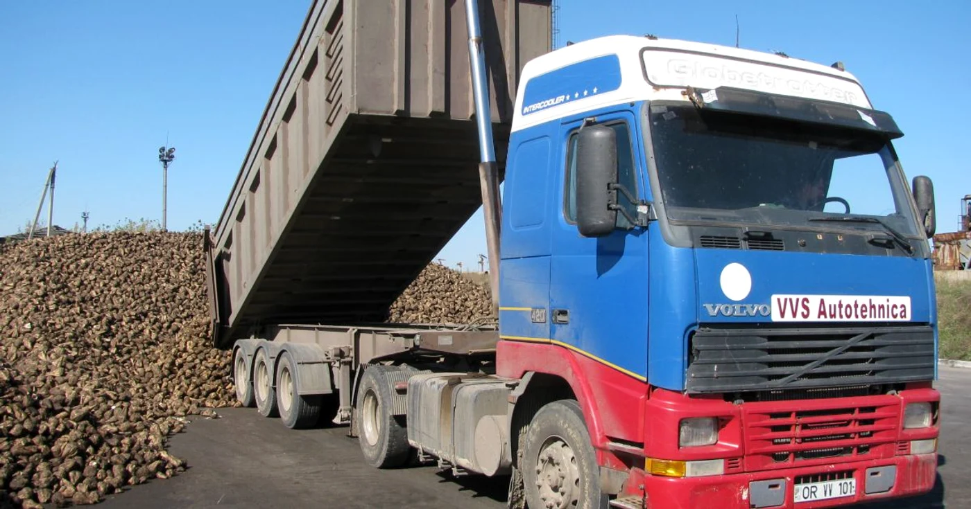 Producătorii de sfeclă de zahăr susţin că deschiderea pieţei pentru zahărul de trestie va distruge ramura
