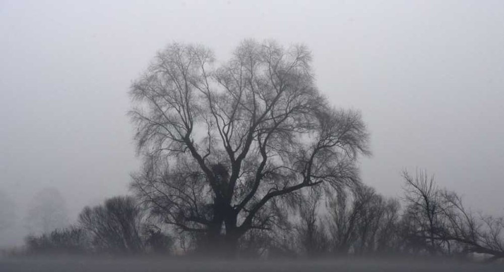 Prognoza meteo duminică, 26 ianuarie. Cod galben de ceață densă în peste jumătate din țară, inclusiv în Capitală