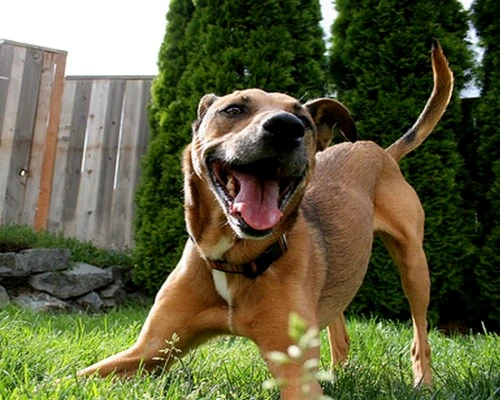 1 48163 original jpg jpeg