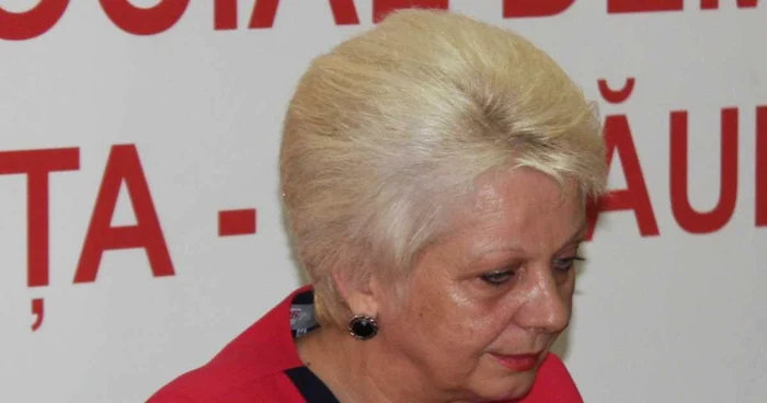 Cei care surprind o tăiere ilegală o vor putea anunţa cu ajutorul 112, a precizat vineri Doina Pană