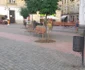 Ştefan Cojocnean face ordine în Piaţa Libertăţii FOTO Ştefan Both