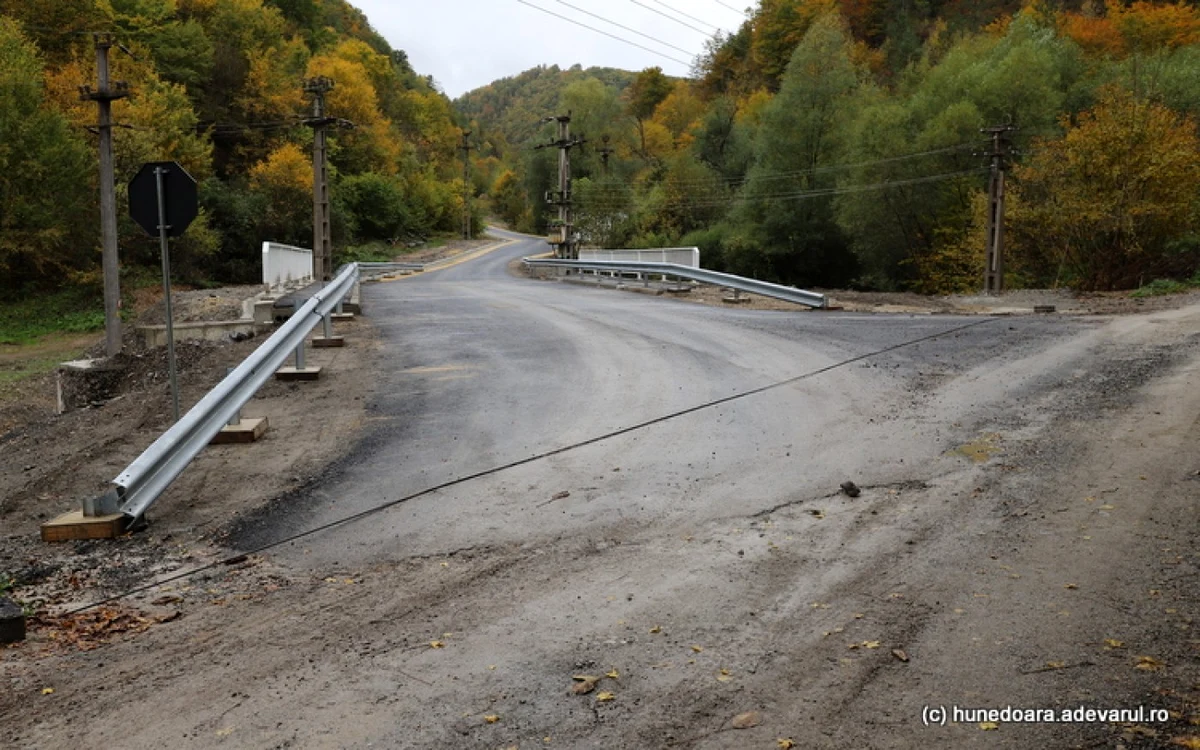 Podul de pe şoseaua Ghelari - Govăjdia. FOTO: Daniel Guţă. ADEVĂRUL