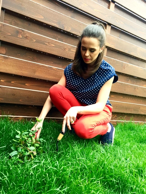 Livia Graur a învăţat cum se plantează trandafirii