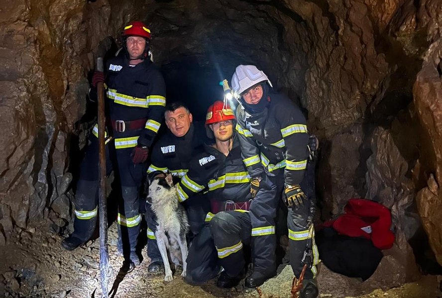 O cățelușă a fost salvată de pompieri dintr-o groapă adâncă de zece metri, aflată într-o mină dezafectată