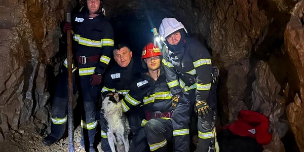Câine a fost salvat de pompierii tulceni Foto ISU Tulcea jpg