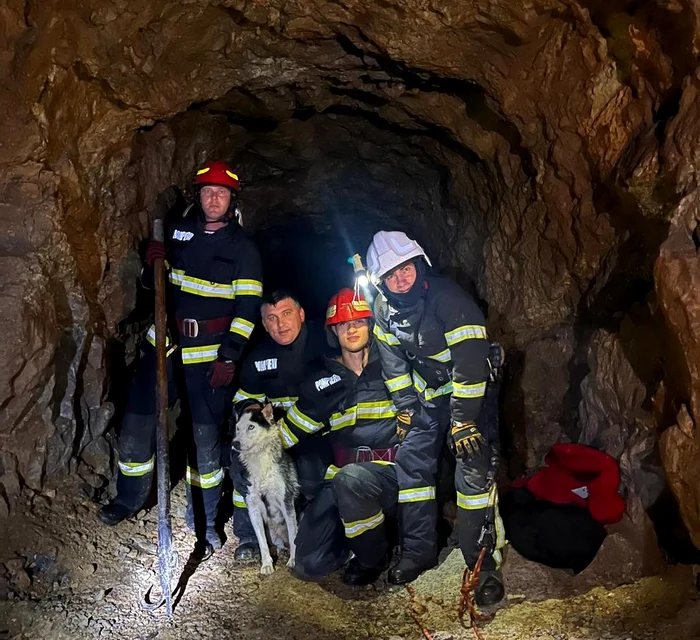 Câinele a fost salvat de pompierii tulceni Foto: ISU Tulcea