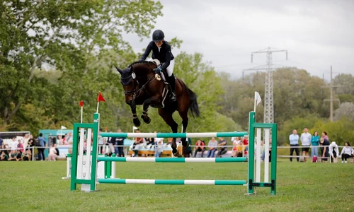 Vanessa Bolting4 jpg