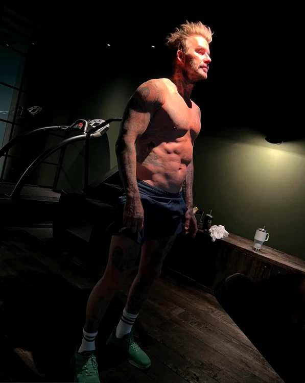 David B la bustul gol PNG