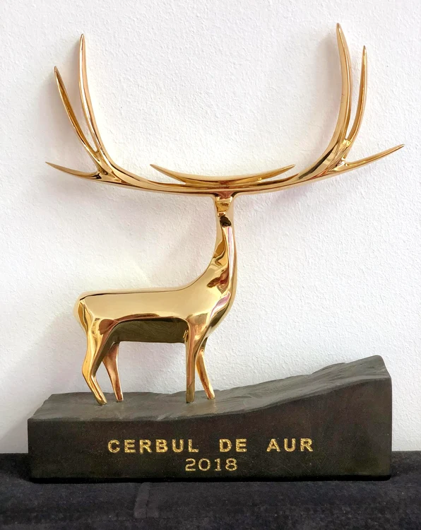 Aceştia sunt concurenţii care vor participa la Cerbul de Aur 2018 Foto:TVR
