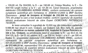 Anunţul de vânzare a terenurilor lui Irinel Columbeanu  jpeg