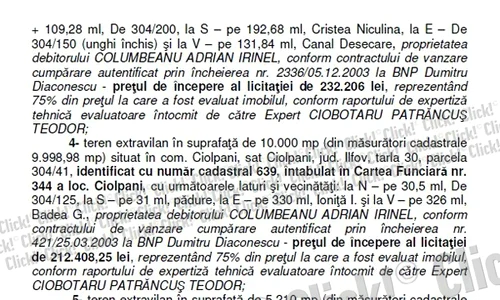 Anunţul de vânzare a terenurilor lui Irinel Columbeanu  jpeg