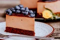 Tort cu mousse de ciocolata si afine  Sursa foto Shutterstock 2131051478 jpg