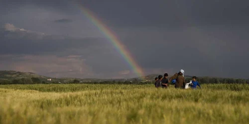 Refugiaţii sirieni merg pe câmpuri în faţa unui curcubeu la punctul de frontieră din Idomeni Grecia FOTO AP