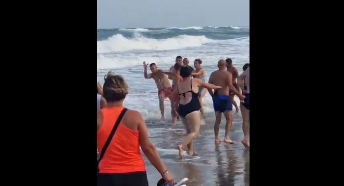 Salmavar atacat cu pietre în Eforie Nord FOTO captură video