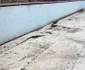 Un patinoar în care s-au investit 150.000 de euro este folosit doar vara. FOTO