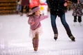03 patinoar jpg