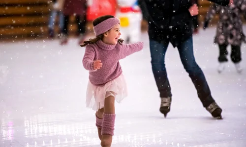 03 patinoar jpg