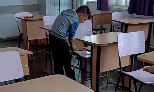 cosmin jpg