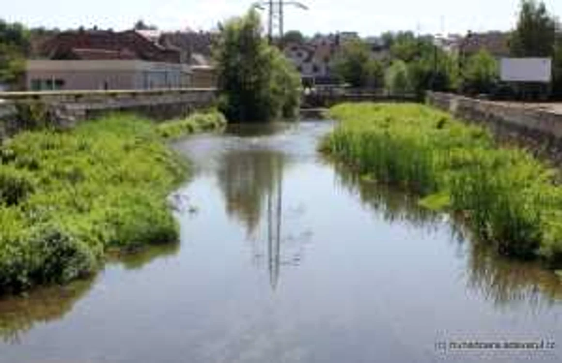 cerna hunedoara