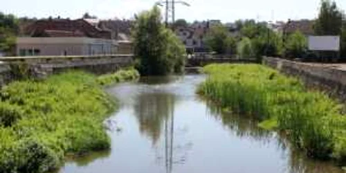 cerna hunedoara