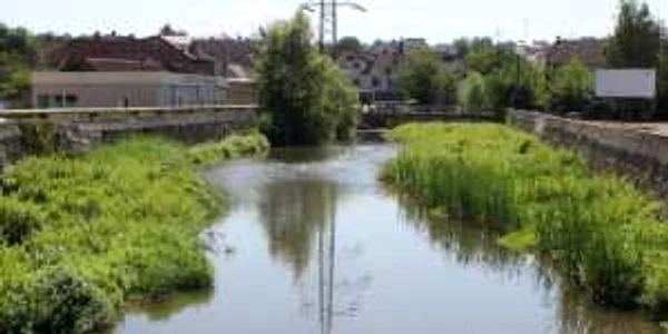cerna hunedoara