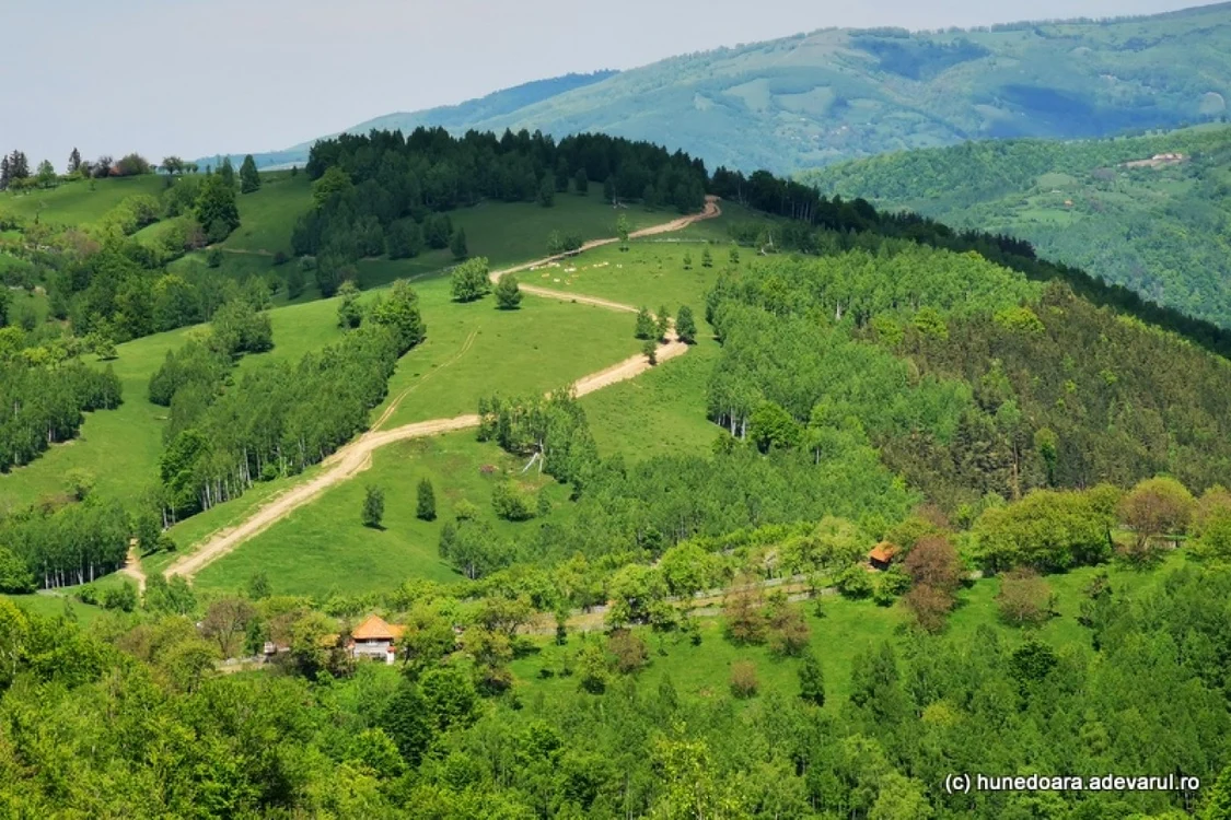 satul ursici foto daniel guta adevarul